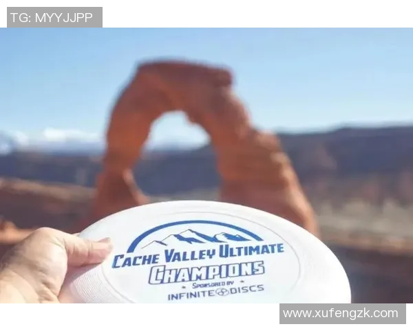 飞盘新手必看：全面解析技巧与配合的入门指南